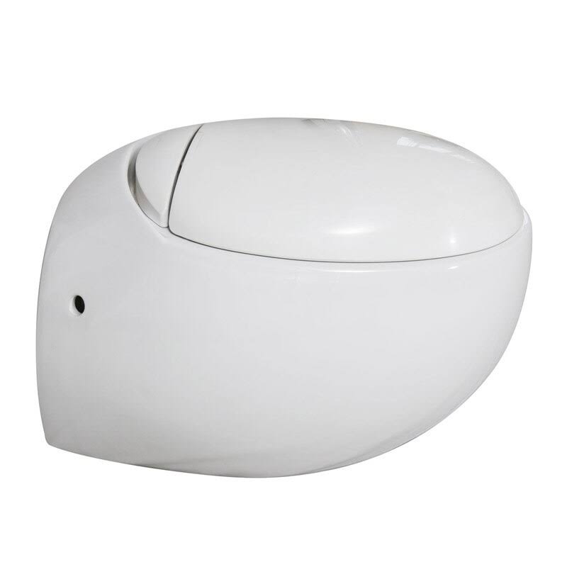 White Wall Hung Dual Flush Toilet and Seat F67343
