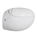 White Wall Hung Dual Flush Toilet and Seat F67343