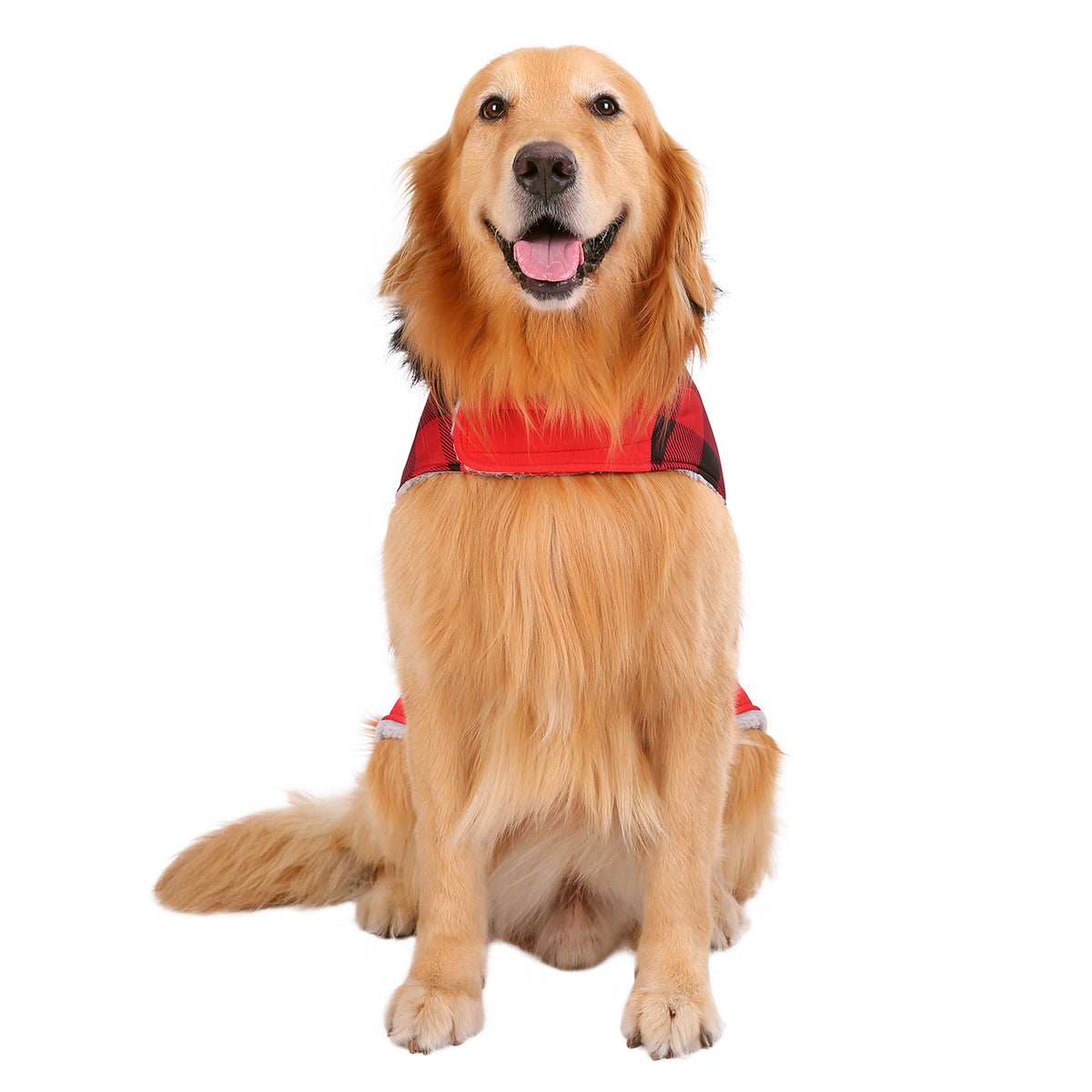 Fleece Lined Dog Puffer Jacket with Harness Hole Q276