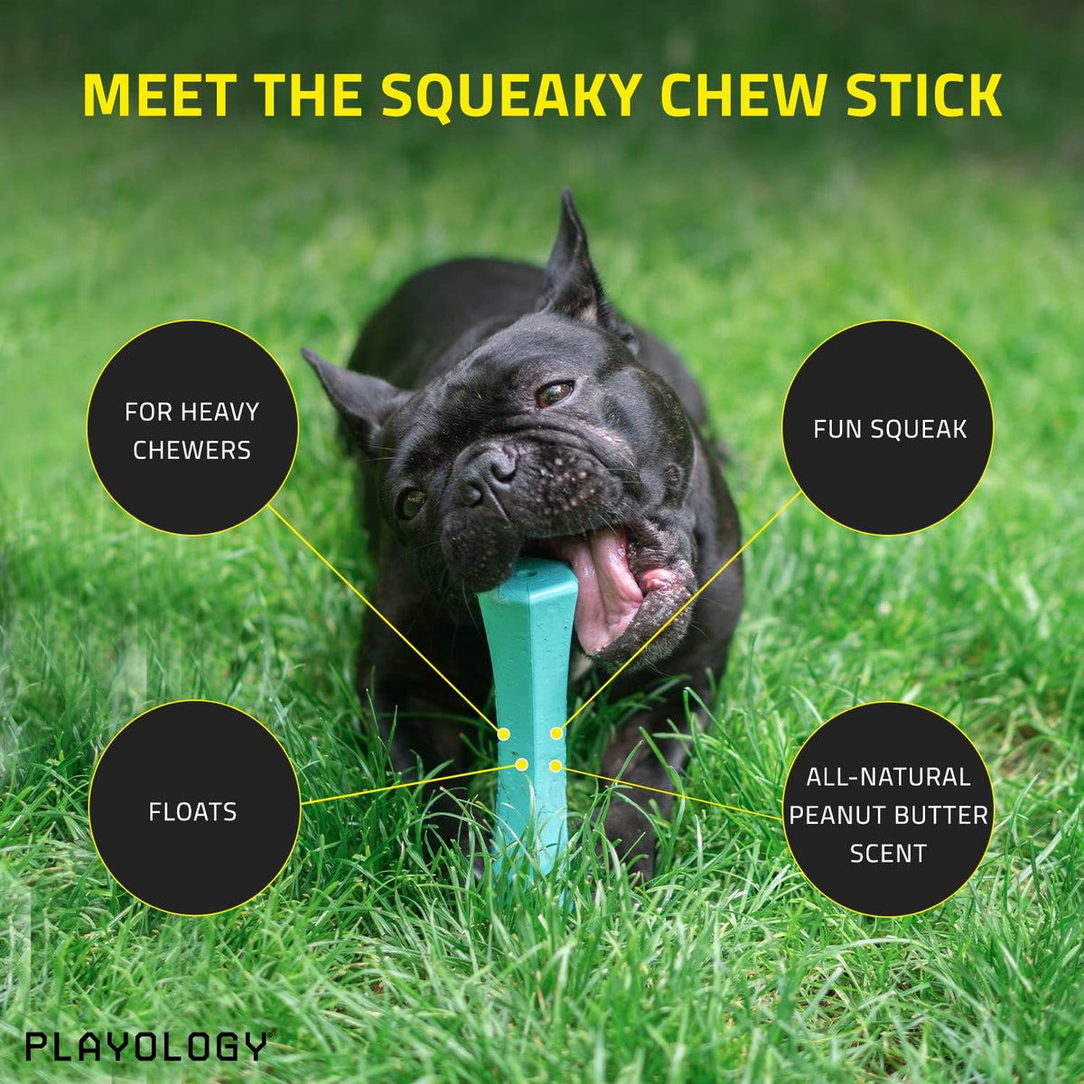 Blue Squeaky Dog Chew Stick Toy Y58975