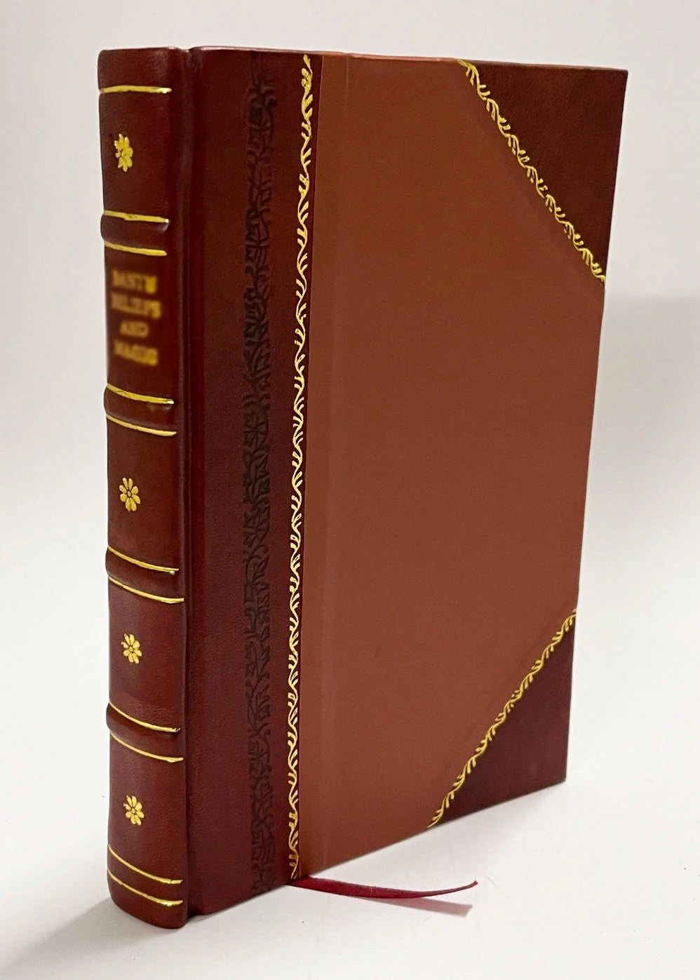 Leather Bound Book H317277