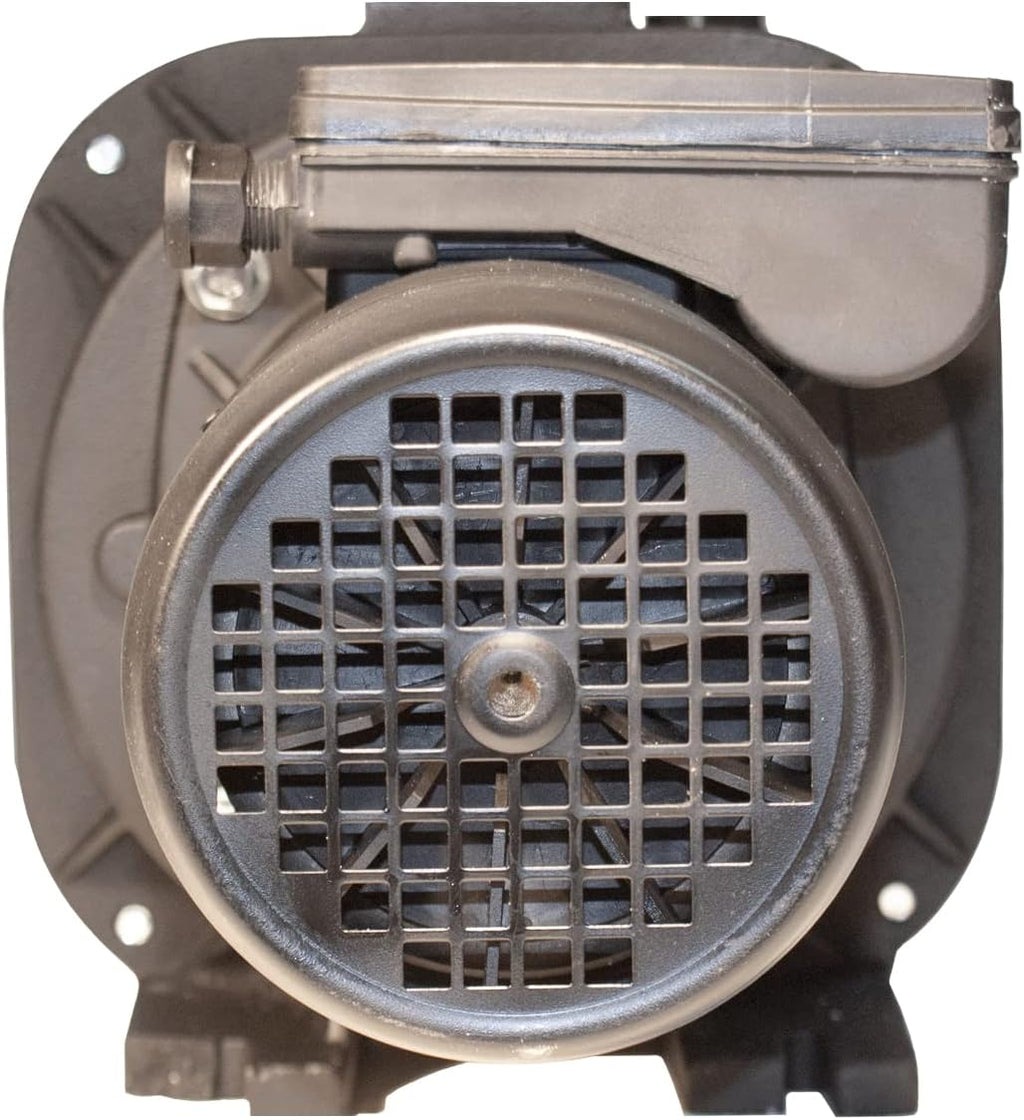 2HP Heavy Duty Sprinkler Pump I97851
