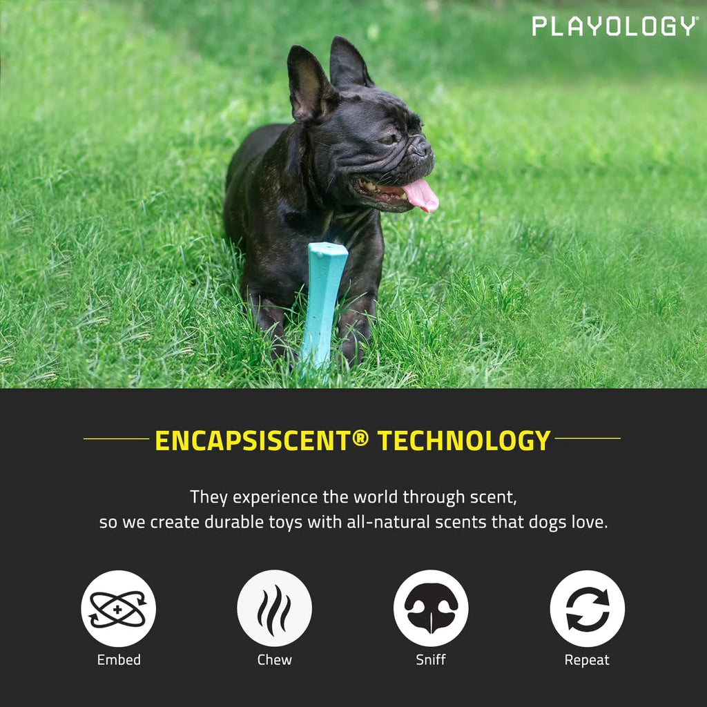 Blue Squeaky Dog Chew Stick Toy Y58975