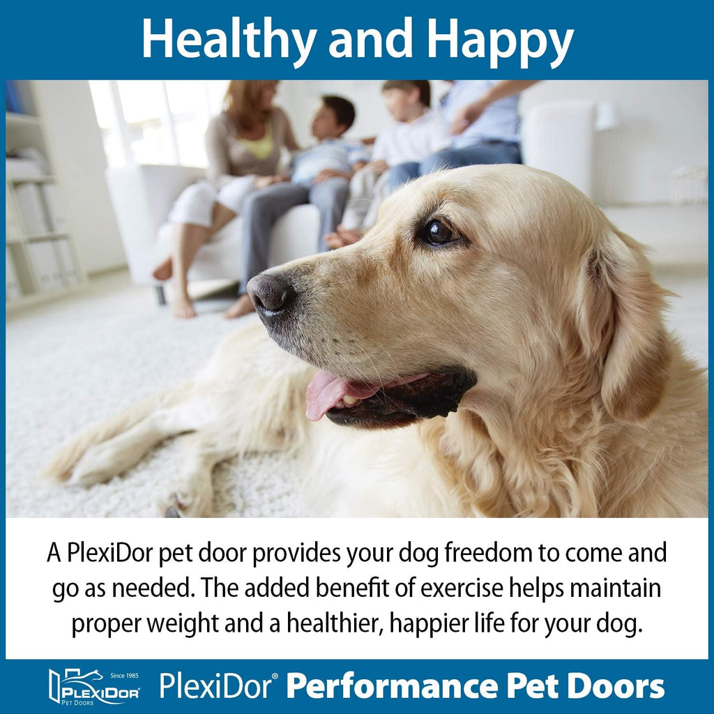 Bronze Small Pet Door with Lock and Key H374592