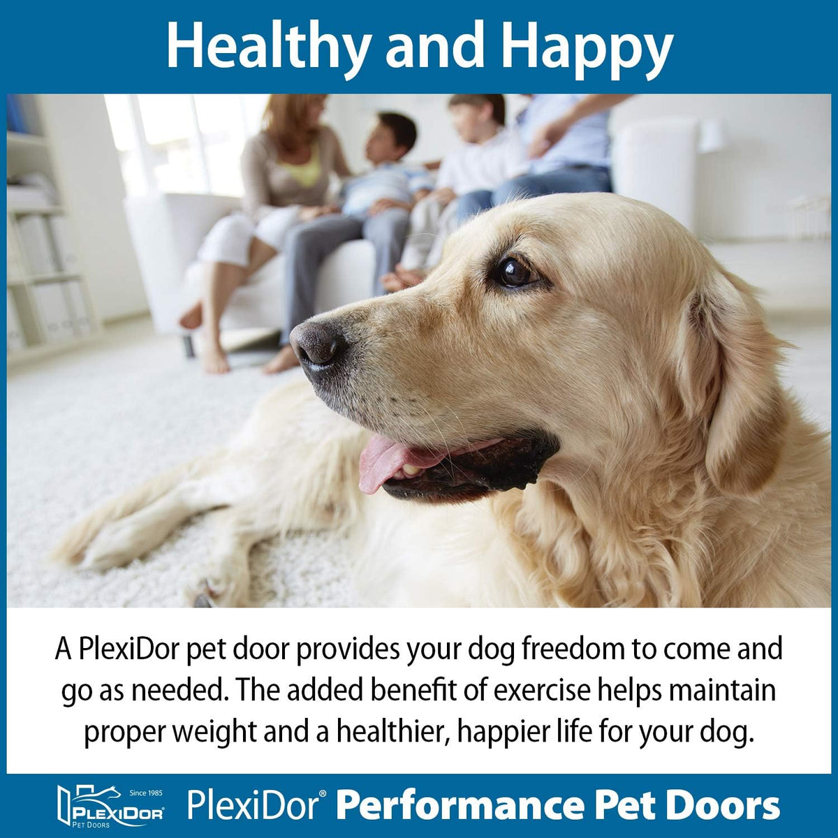 Bronze Small Pet Door with Lock and Key H374592
