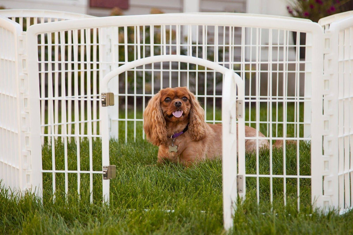 4-Panel Plastic Pet Playpen with Door S132987