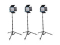 LED500 Bi-Color 3-Light Kit with Hard Case Q1034