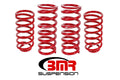 Lowering Spring Kit 1in Drop Y394