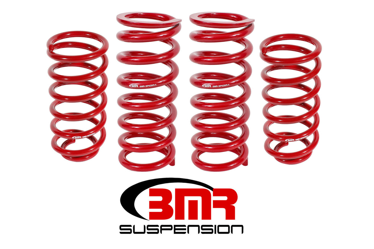 Lowering Spring Kit 1in Drop Y394