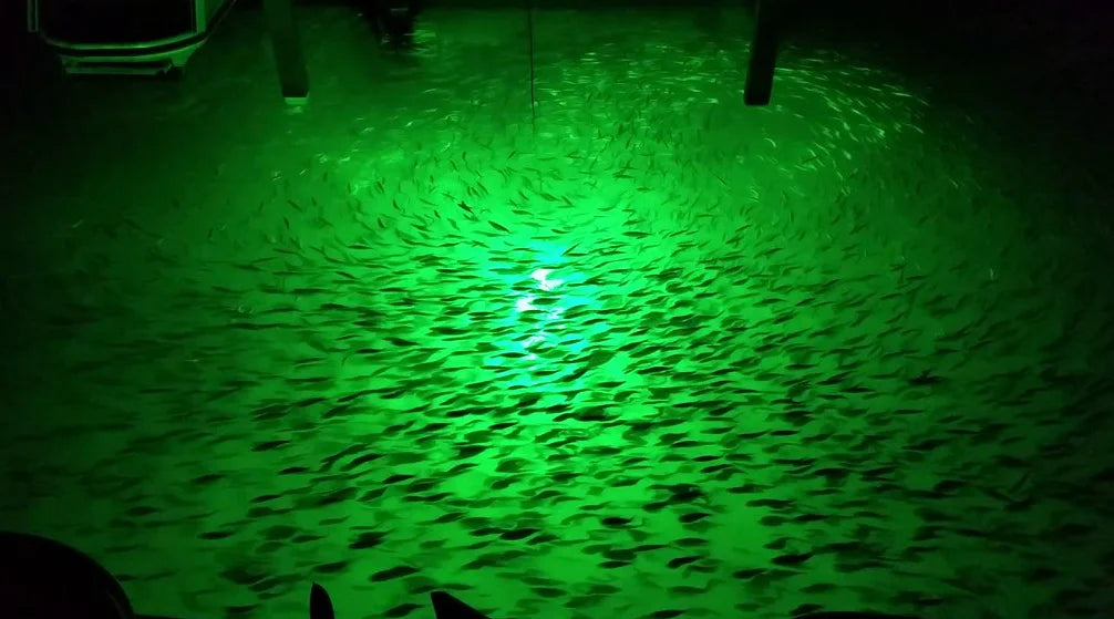 40W 120V AC Dock Mounted Fish Light Green R7063