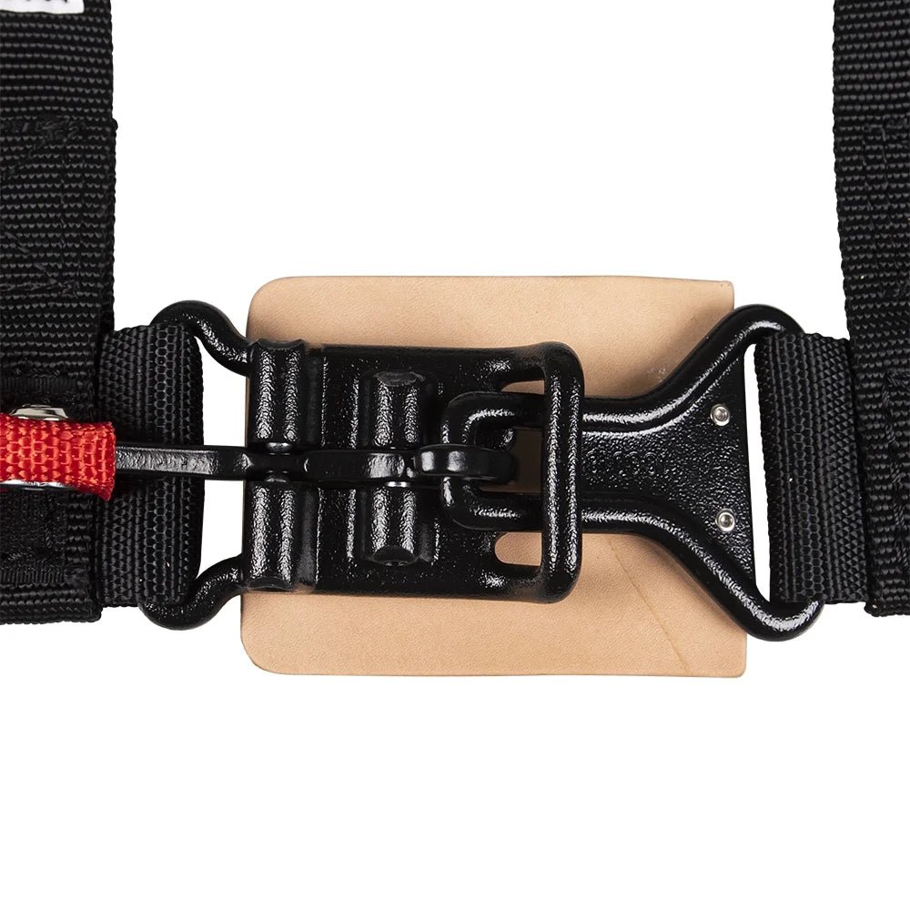 Black 4-Point Harness 2 Pack T789665