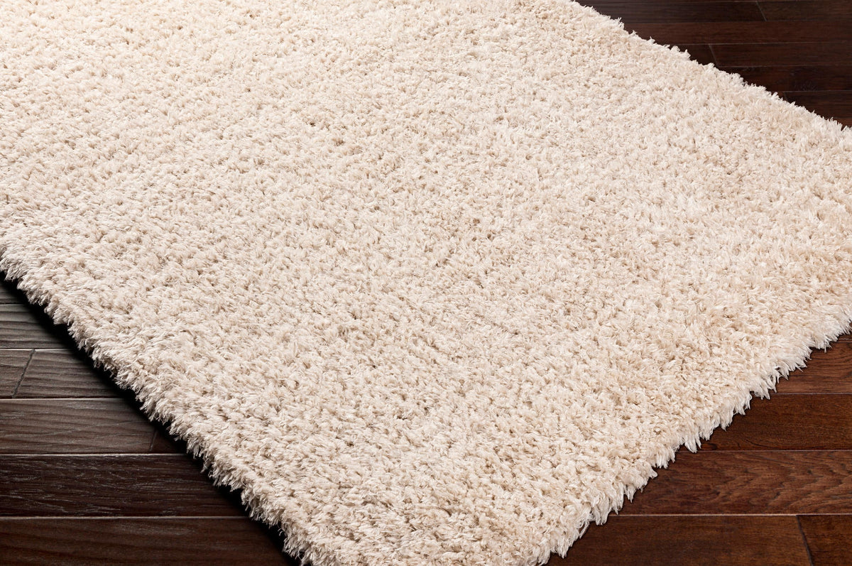 Beige Runner Area Rug (2'7" x 7'3") N17279