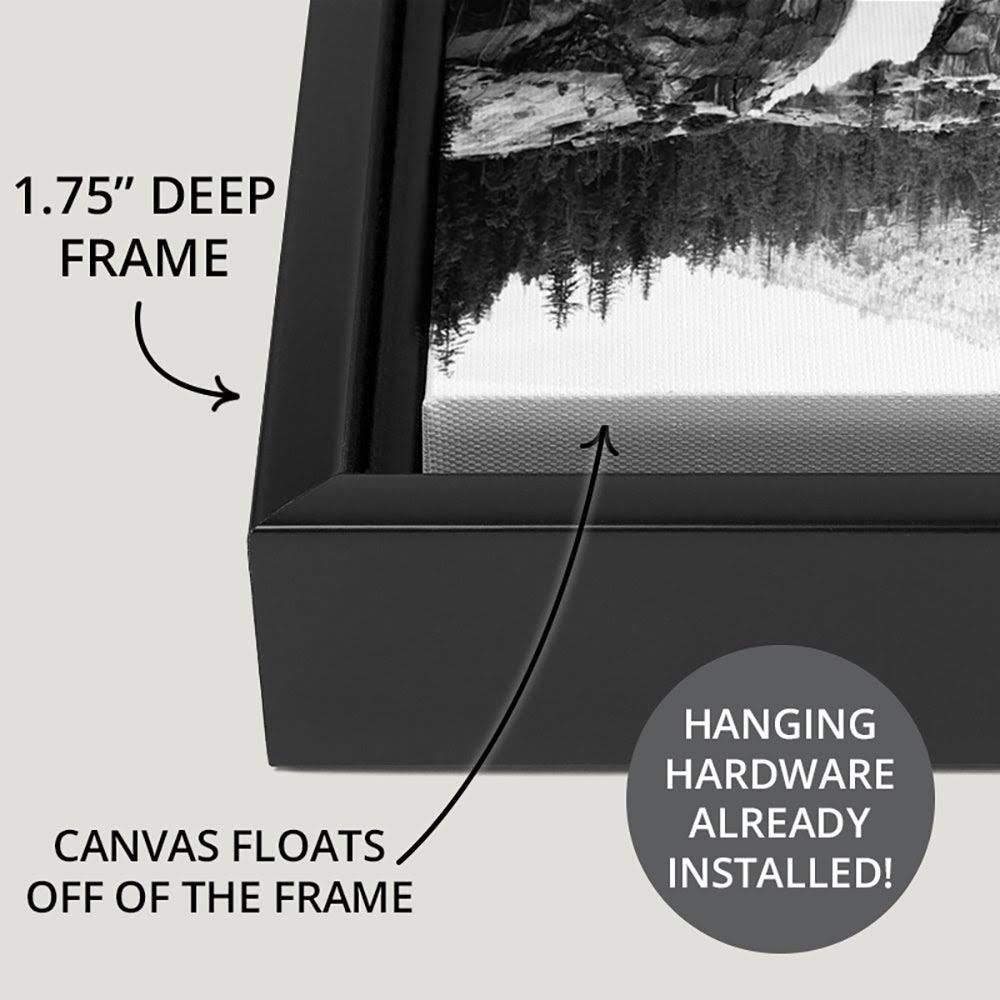 Black Float Frame Canvas Art - 20 x 20 M4941