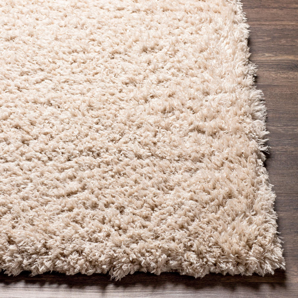 Beige Runner Area Rug (2'7" x 7'3") N17279