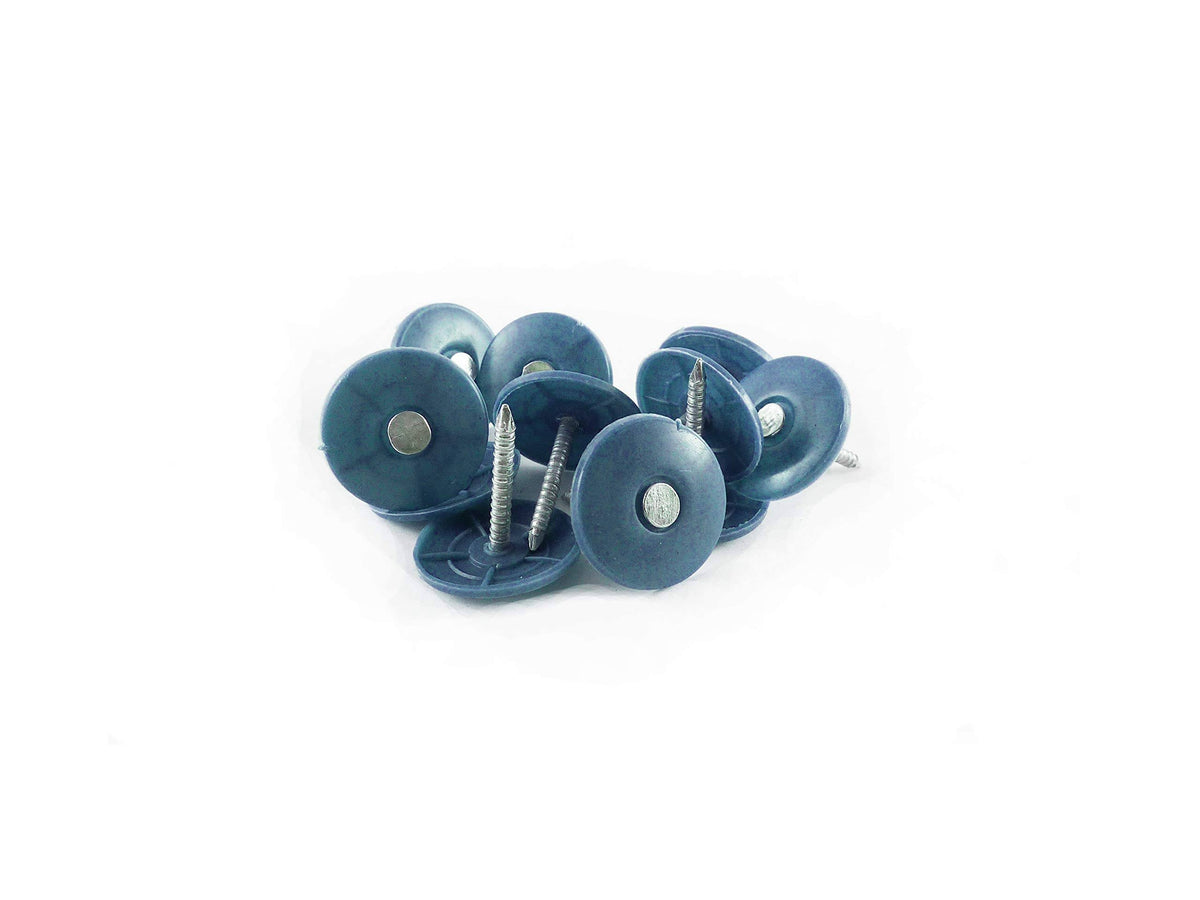 Plastic Cap Electro Galvanized Nails W71797