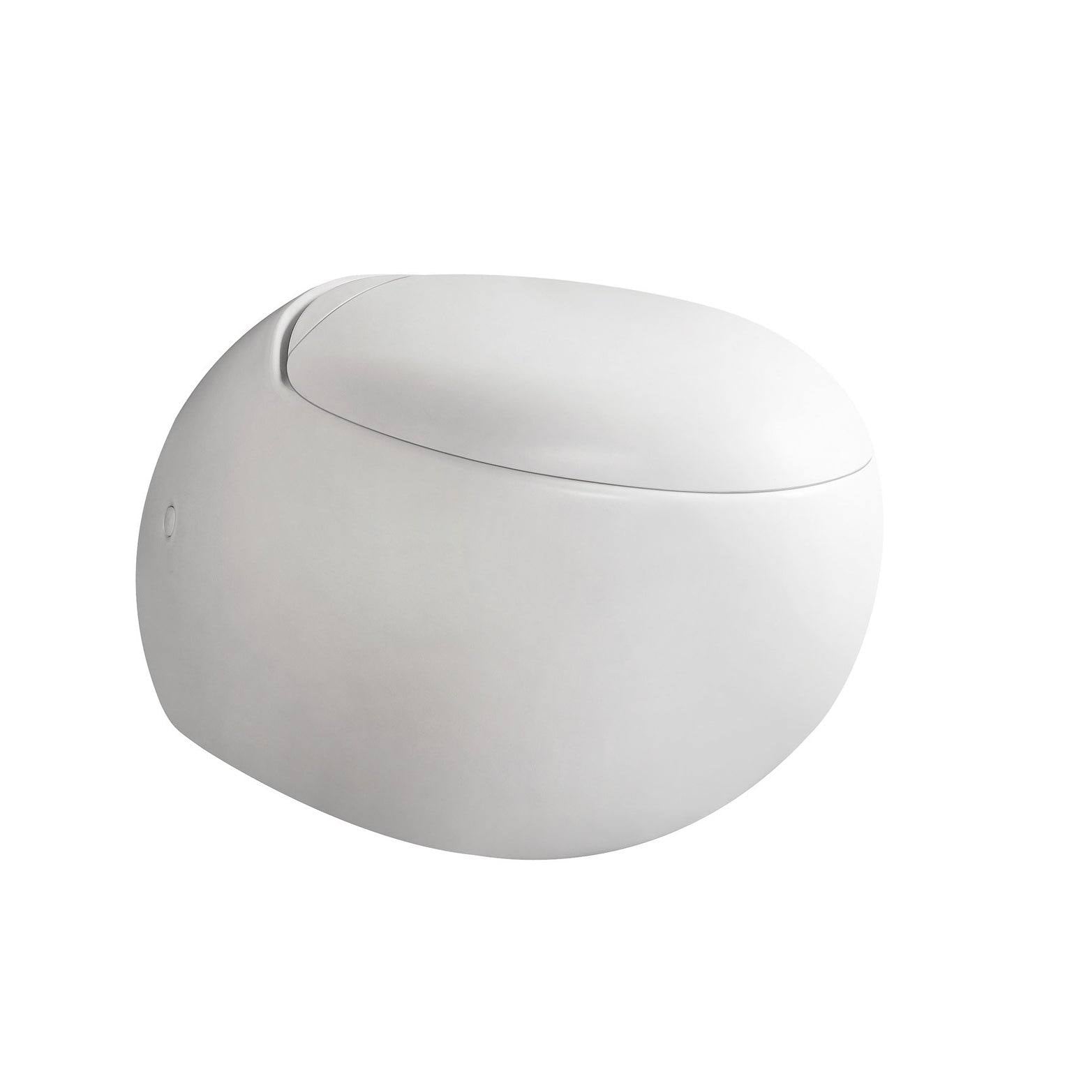 White Wall Hung Dual Flush Toilet and Seat F67343