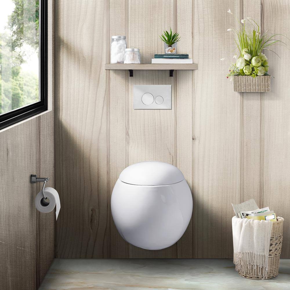 White Wall Hung Dual Flush Toilet and Seat F67343