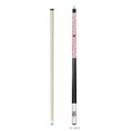 Cue and Case Set S731