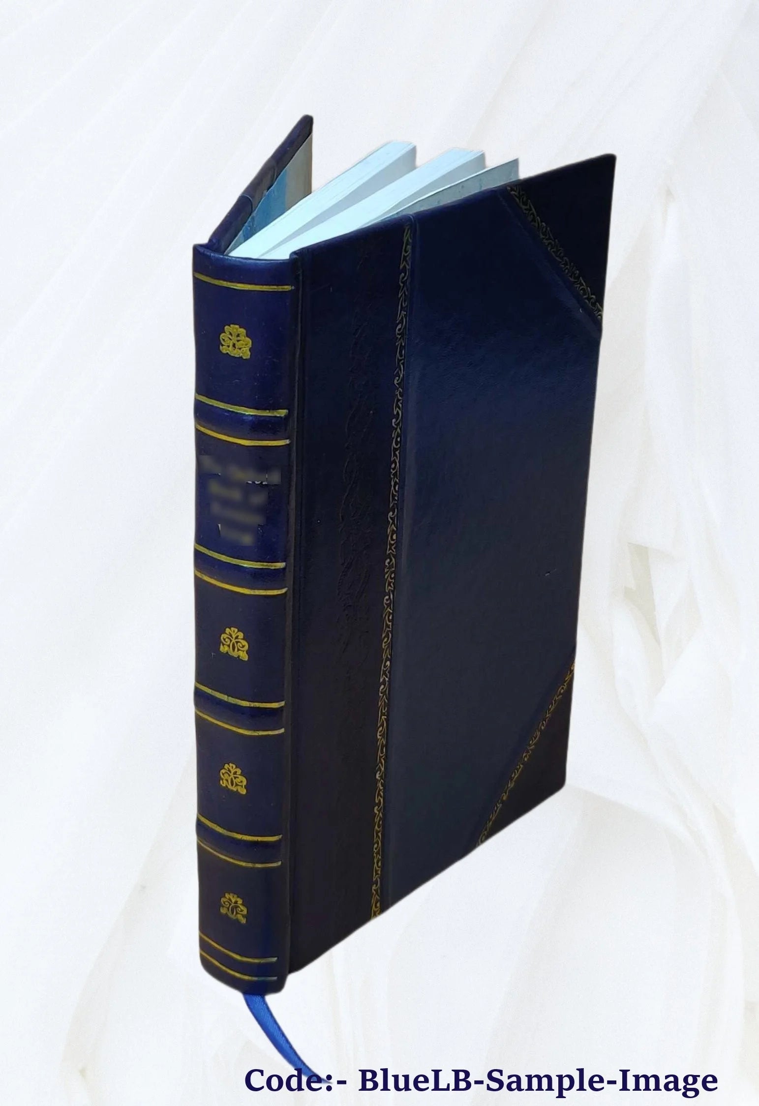 Histoire critique et militaire des guerres de la Revolution, Volume 13 K7285