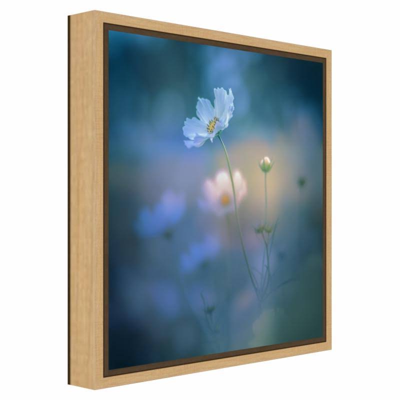 Canvas Art Framed White Shadow Black W254208