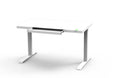 White Standing Desk X209