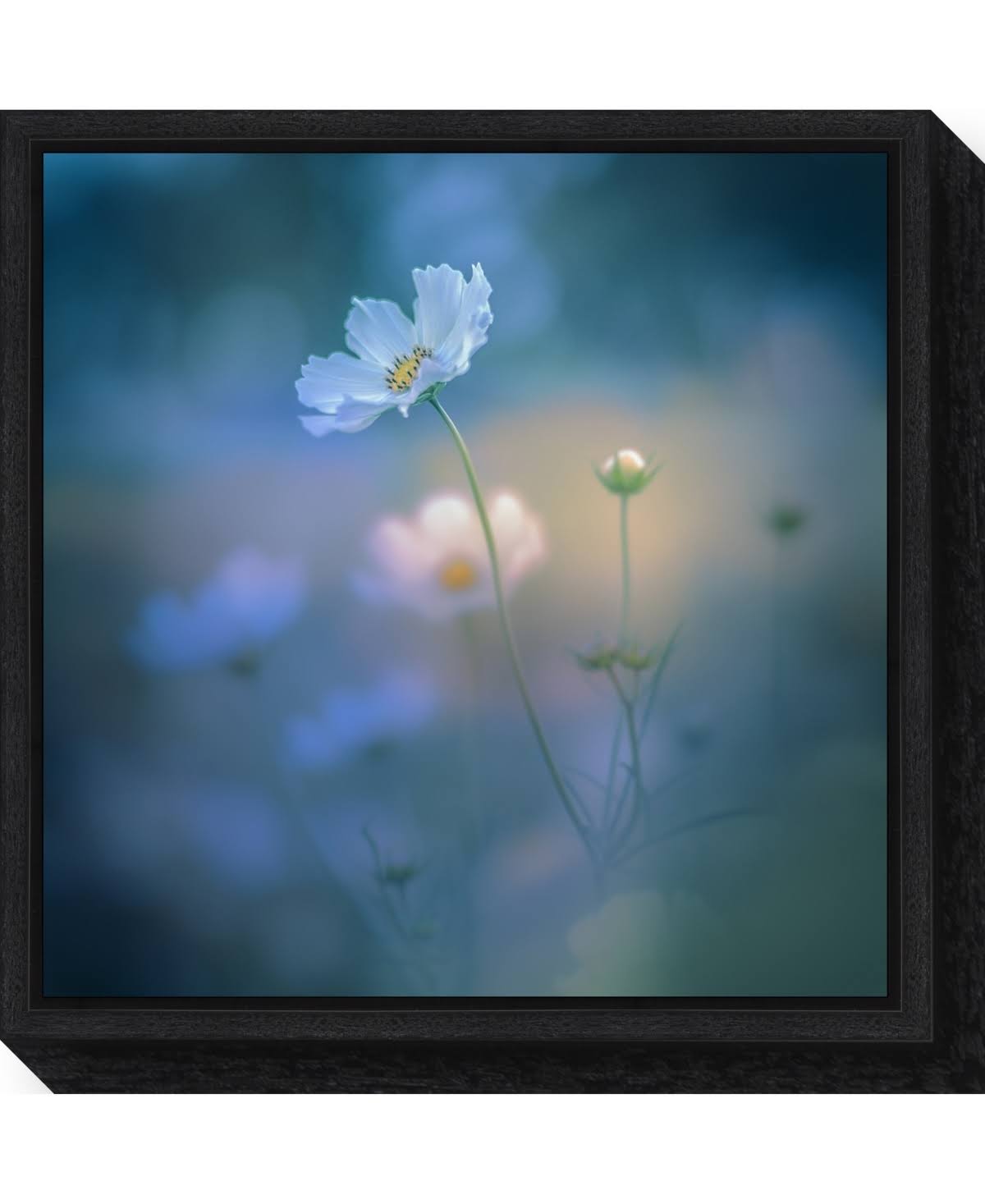 Canvas Art Framed White Shadow Black W254208