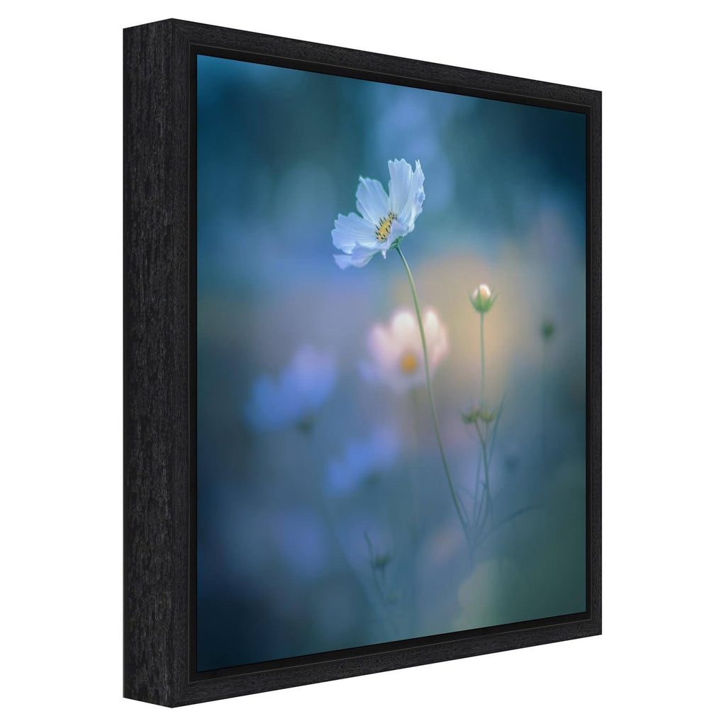 Canvas Art Framed White Shadow Black W254208
