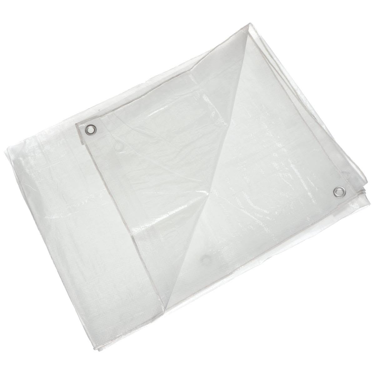 Transparent Polyethylene Tarp 50x80Ft W409777
