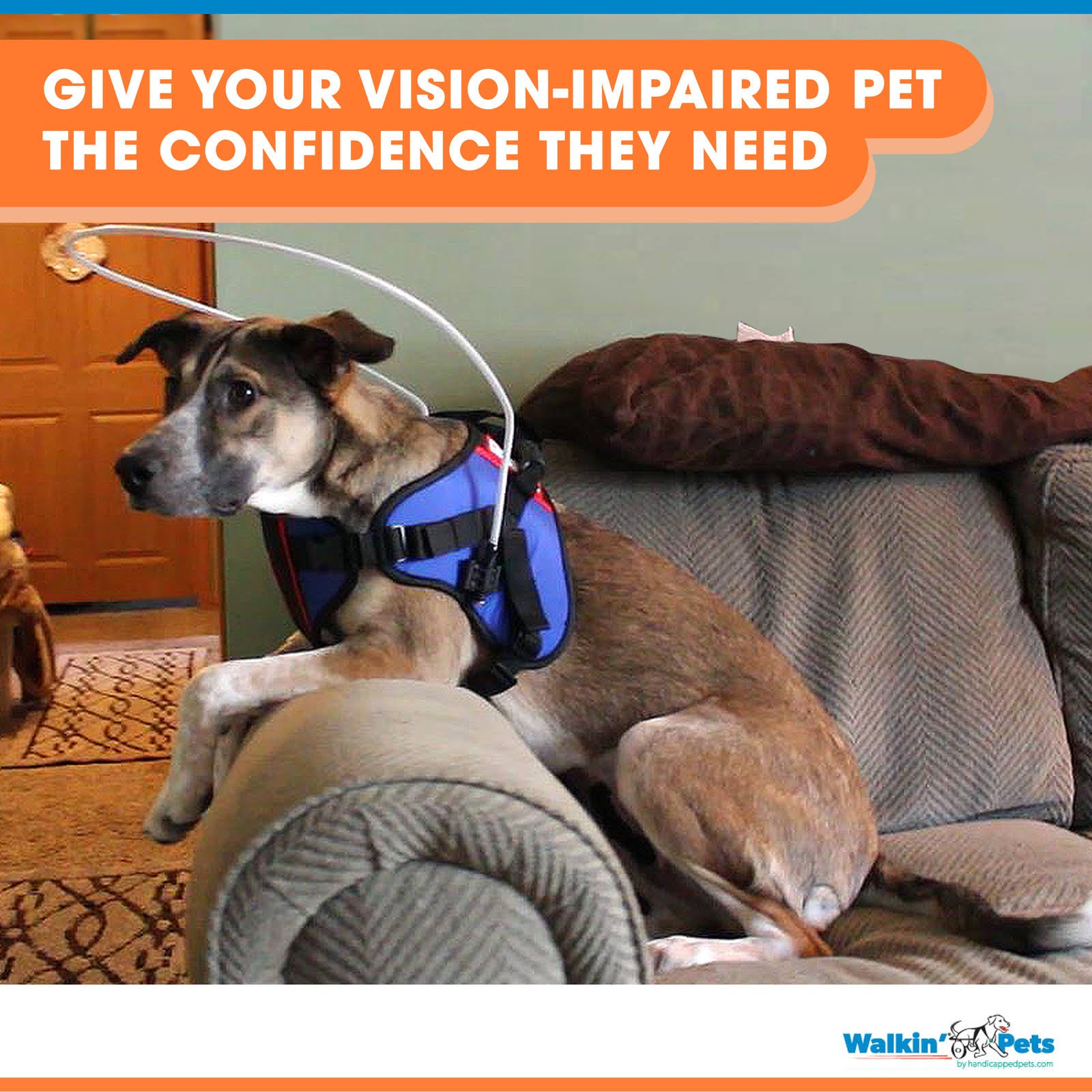 Blind Dog Halo Harness for Pets Over 30 lbs D21791