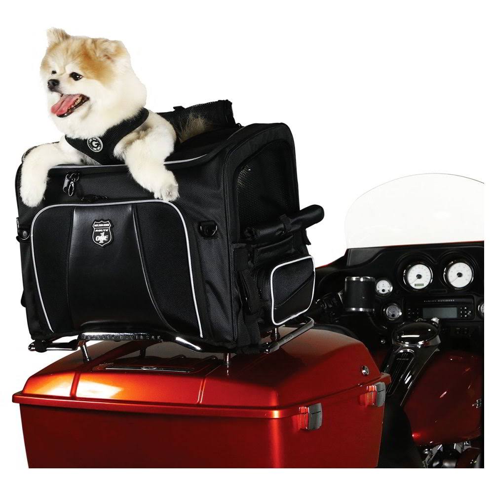 Pet Carrier X8431