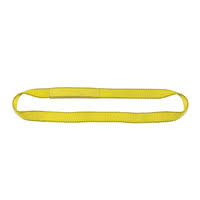 3 Ply 8x22 x 5& Endless Polyester Web Sling R313951