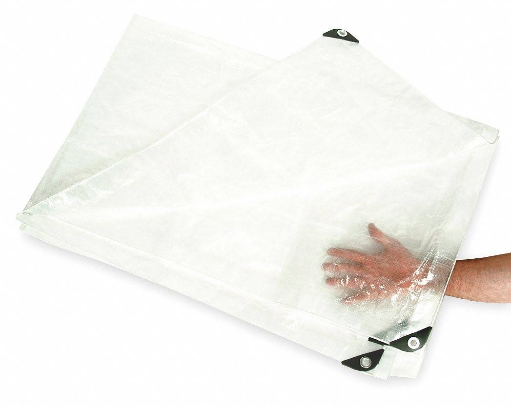 Transparent Polyethylene Tarp 50x80Ft W409777