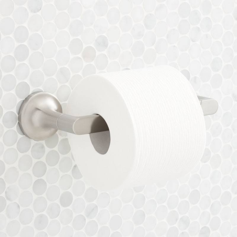 Brushed Nickel Wall Mounted Pivoting Toilet Paper Holder X815