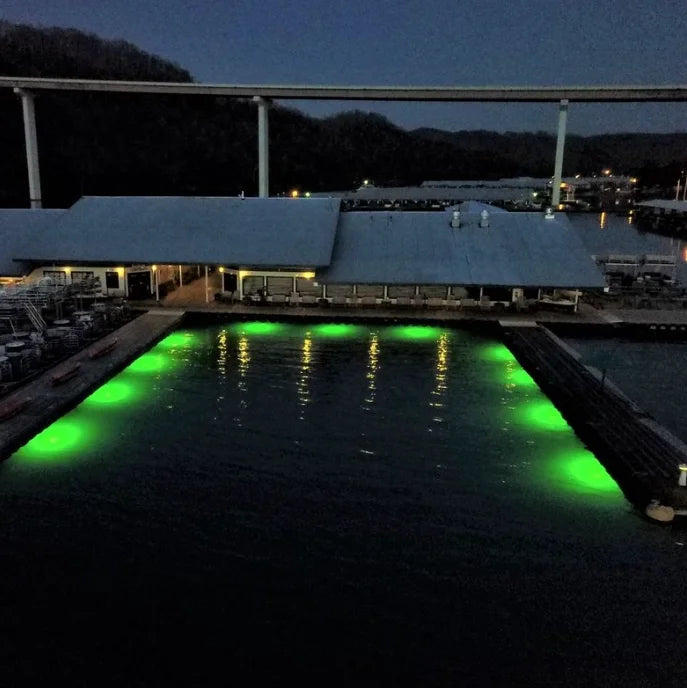 40W 120V AC Dock Mounted Fish Light Green R7063