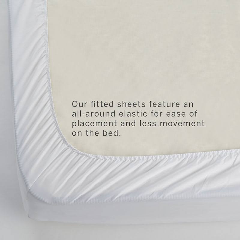 Queen Supima Cotton Sateen Fitted Sheet Z46502