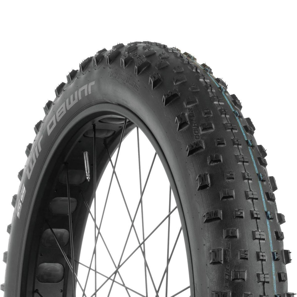 Tubeless Bike Tire T1822