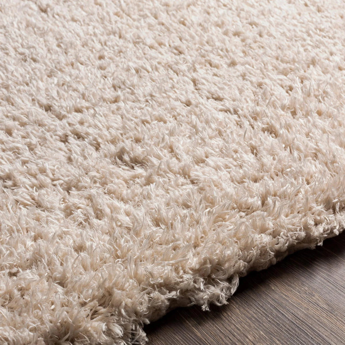 Beige Runner Area Rug (2'7" x 7'3") N17279