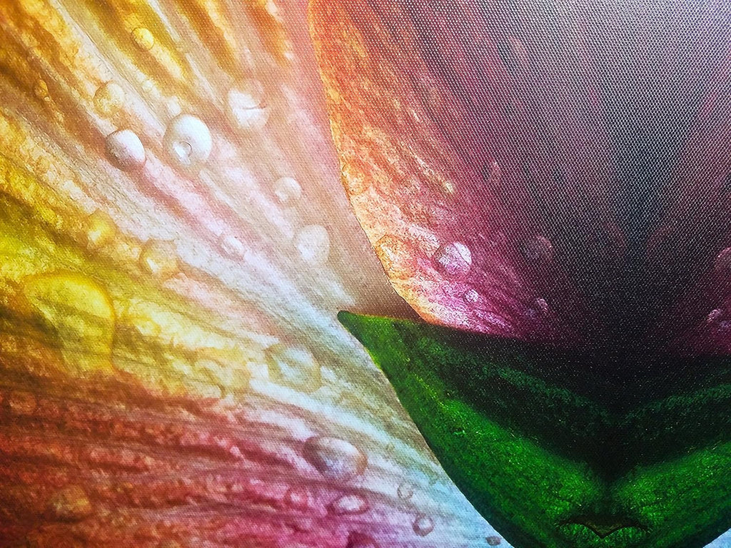 50 Sheets Pack of 2 Canvas Textured Inkjet Photo Paper P875