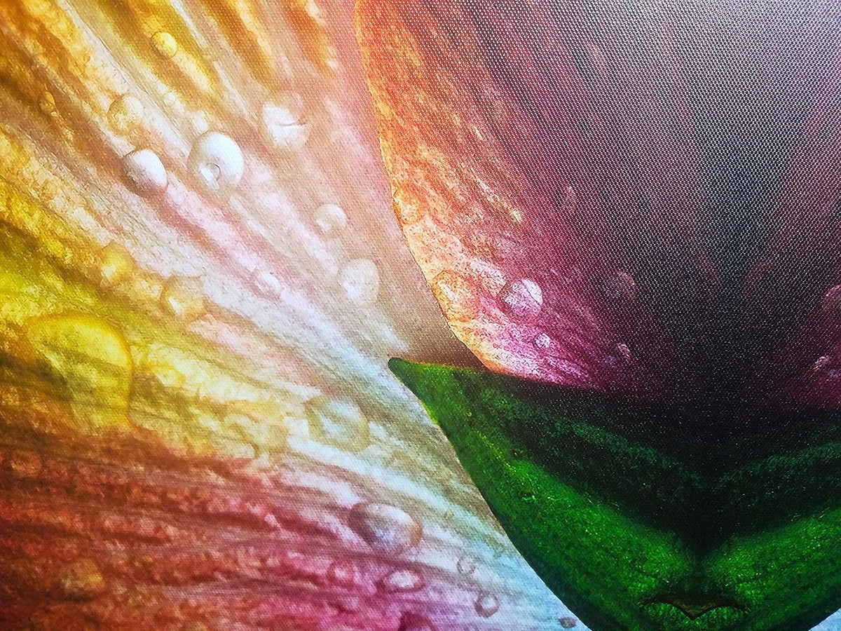 50 Sheets Pack of 2 Canvas Textured Inkjet Photo Paper P875