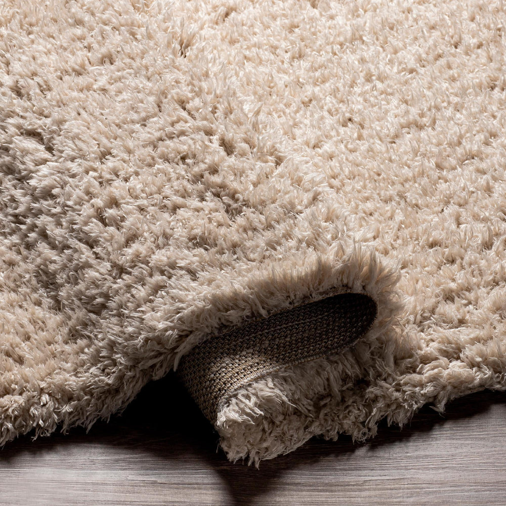 Beige Runner Area Rug (2'7" x 7'3") N17279