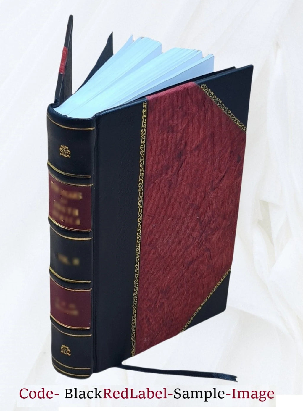 Histoire critique et militaire des guerres de la Revolution, Volume 13 K7285
