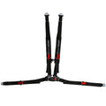 Passenger Side 4-Pt Harness H239