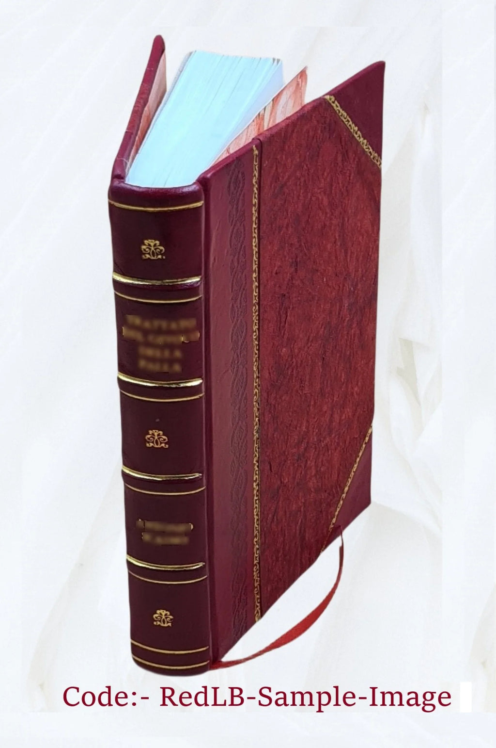 Histoire critique et militaire des guerres de la Revolution, Volume 13 K7285